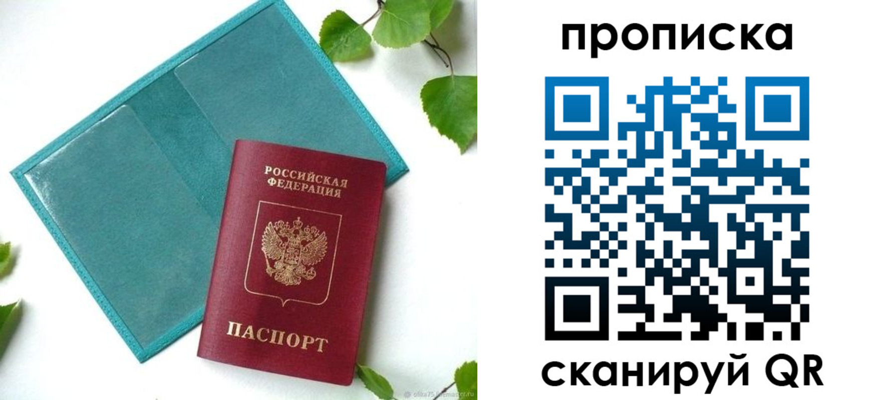 прописка штамп в Могочи